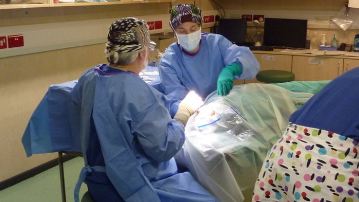 34058_10150204347195096_7792900_n